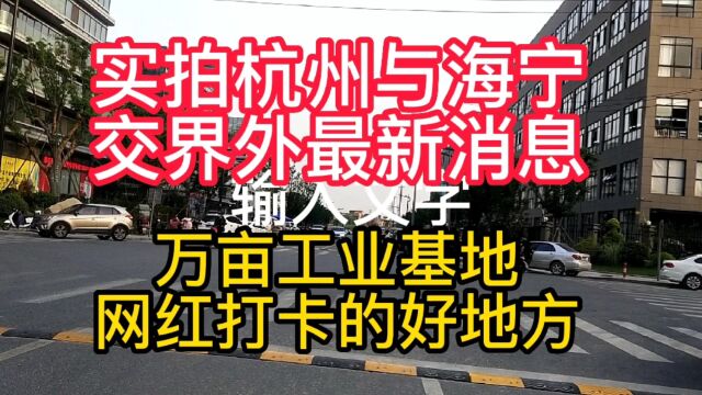 实拍杭州与海宁交界处万亩工业园,是未来赚钱多的好地方,过瘾吧