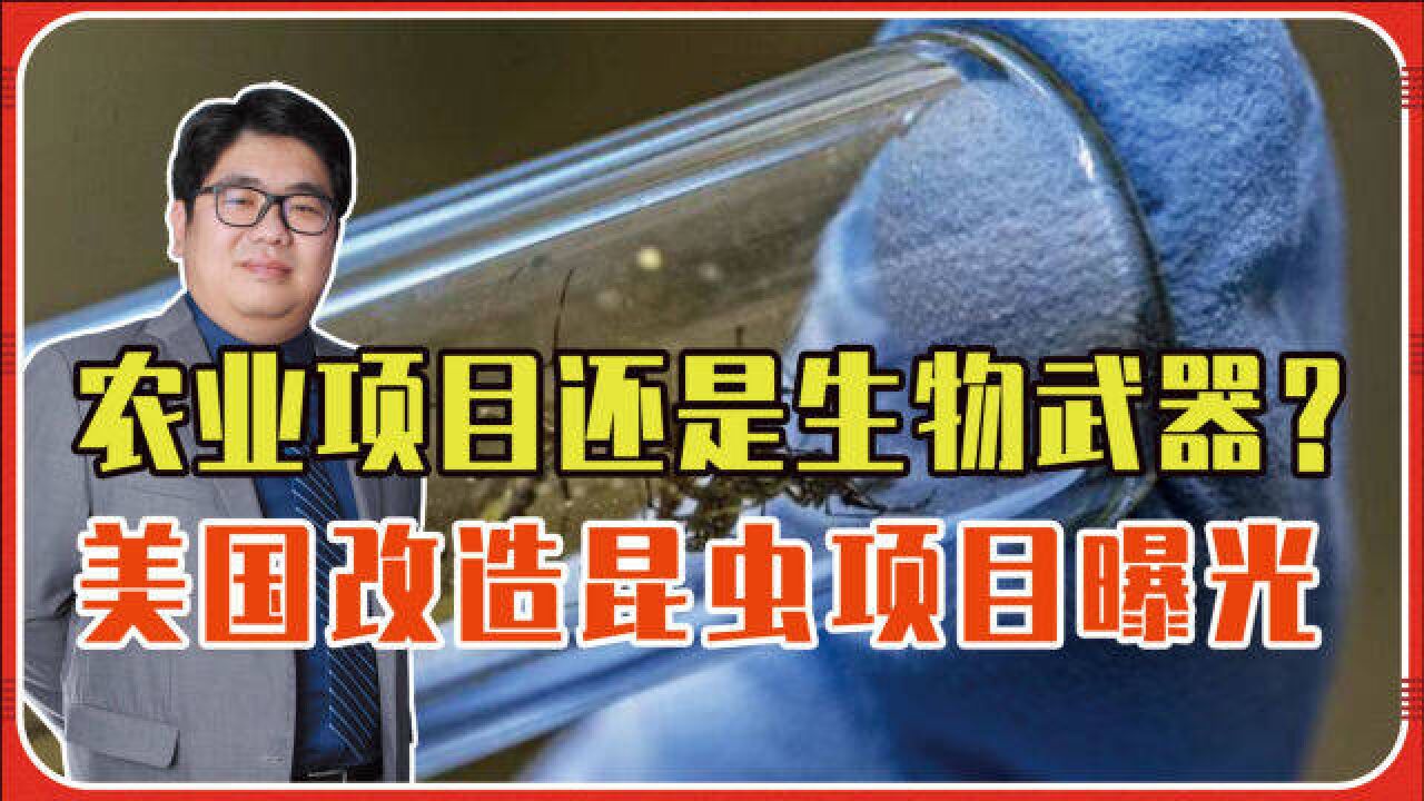 农业项目还是研制生物武器?美国改造昆虫项目曝光,必须高度警惕