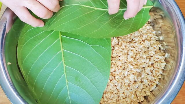 煮好的莜麦用核桃叶子盖起来,这做法也太好吃了,酸酸甜甜还解暑