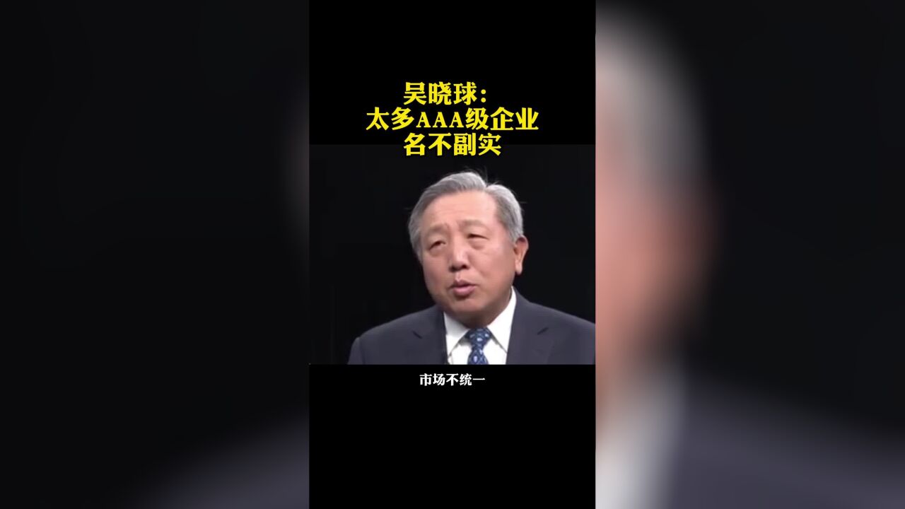 吴晓求直言:太多“AAA级企业”名不副实!