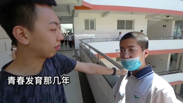 高冰涵苗桐亮刘俊杰视频