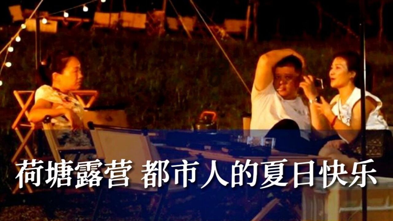 赏荷+露营,都市人的夏日快乐!东莞桥头这个露营地火了