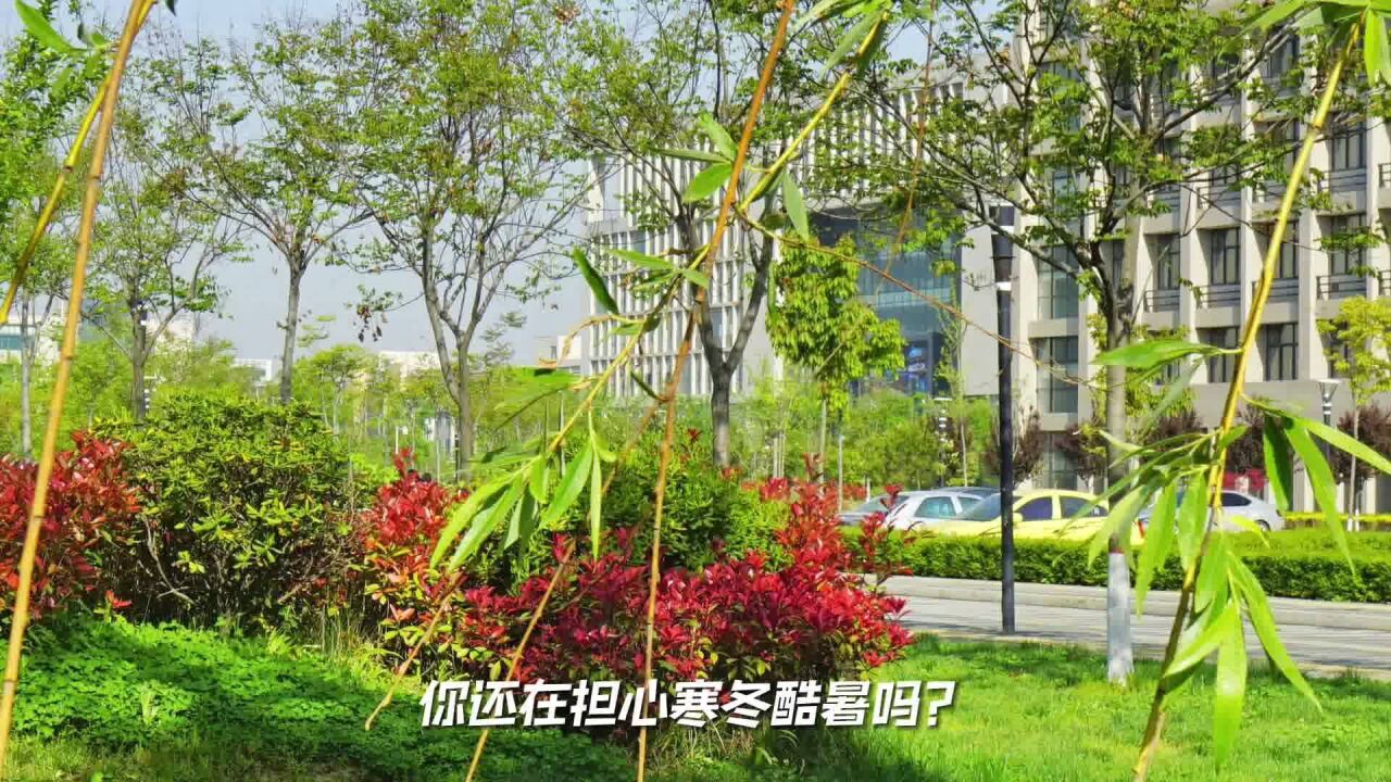 在西安石油大学上学是一种什么体验?