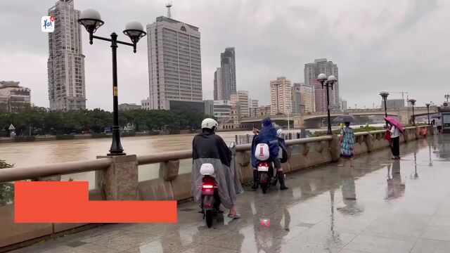 【视频+图集】广州中心城区洪水红色预警解除后,市民悠闲钓鱼观潮