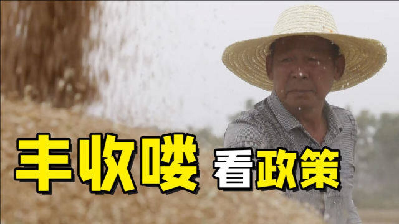 聚焦三农丨丰收喽 看政策