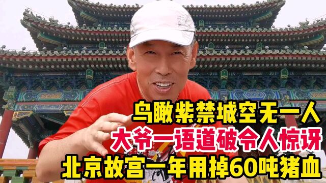 北京故宫一年用掉60吨猪血,大爷一语道破令人惊讶,鸟瞰紫禁城