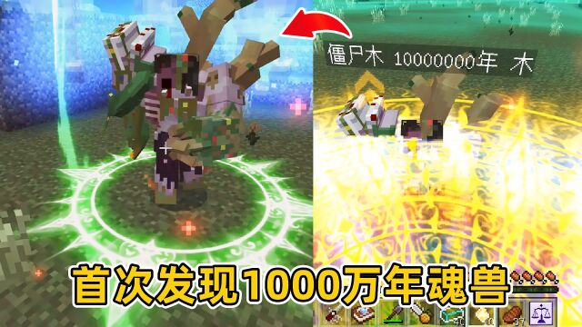 我的世界斗罗大乱斗20:首次发现1000万年魂兽,进入神陨位面!