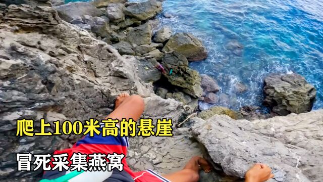 探访燕窝工厂:冒死爬上100米悬崖采集燕窝,1个月赚110万