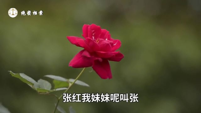 绝密档案(1)