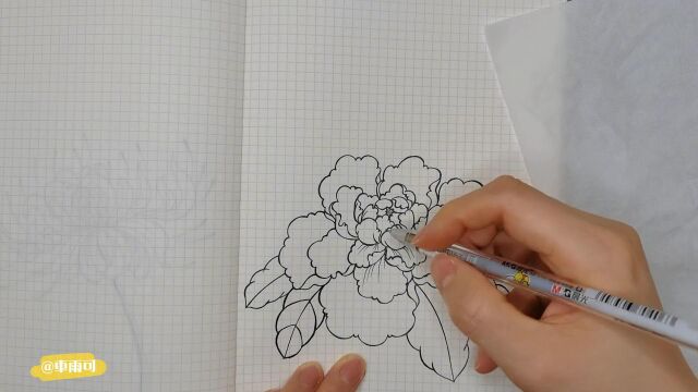 零基础针管笔线描画(花卉)系列~牡丹花的画法