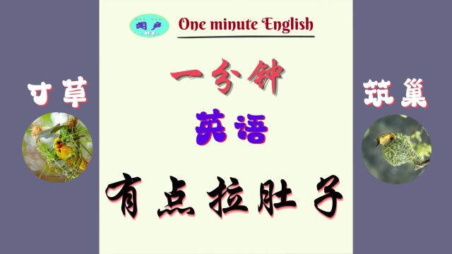 一分钟英语D36 有点拉肚子  英语学习 Learn English  英语日常会话英语口语