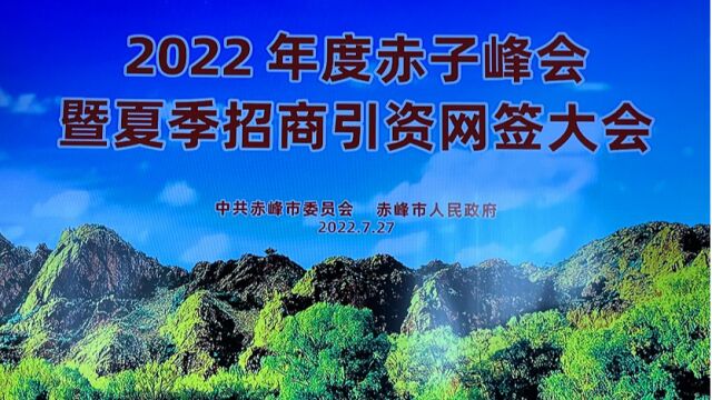 2022年度赤子峰会暨夏季招商引资网签大会