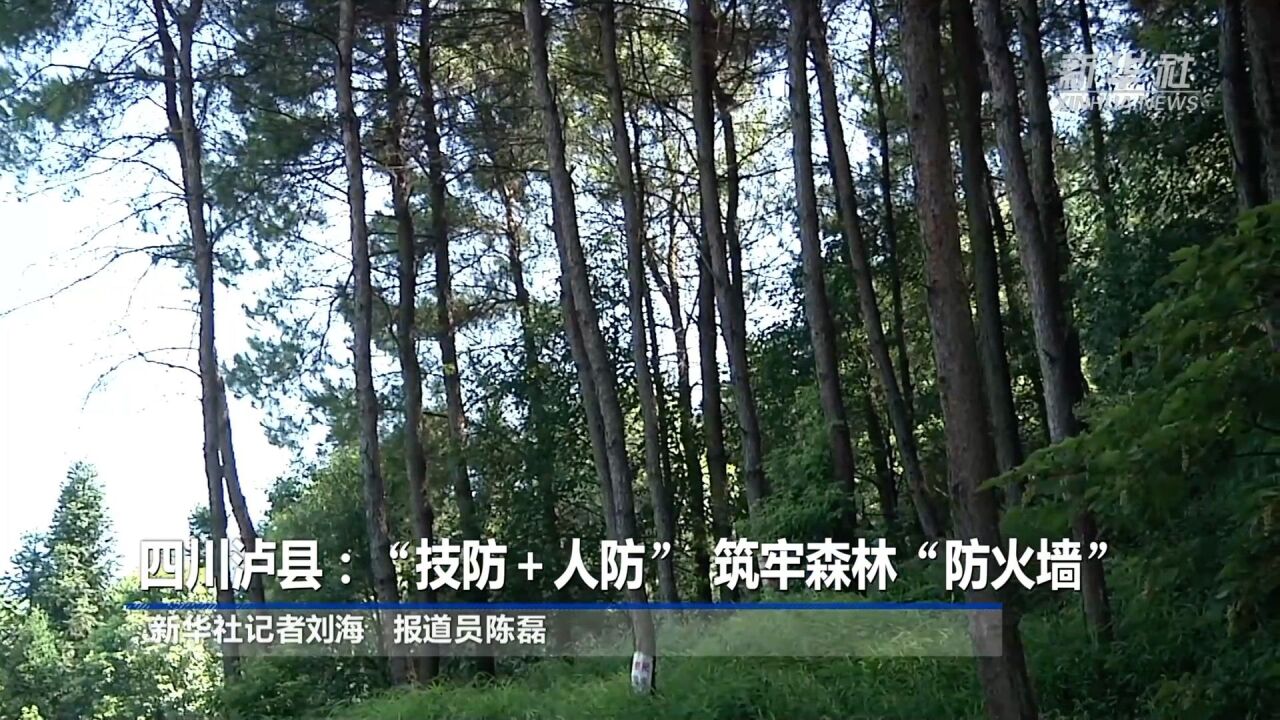 四川泸县:“技防+人防” 筑牢森林“防火墙”