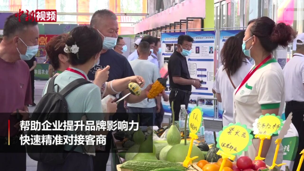 第九届宁夏种业博览会在平罗县“种子小镇”举办