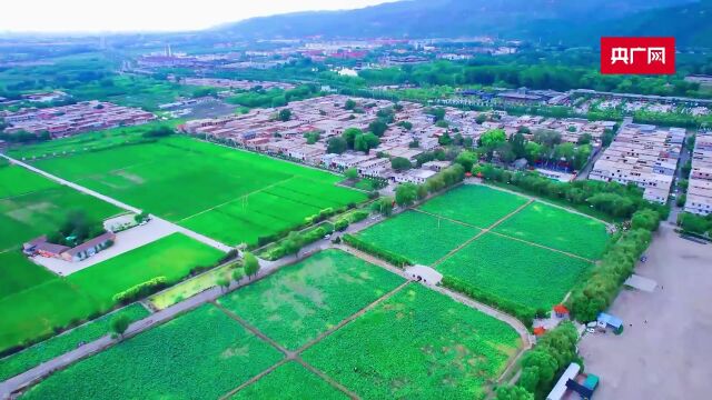 「瞰山西」万荷开得千顷色 晋祠荷风盛景来