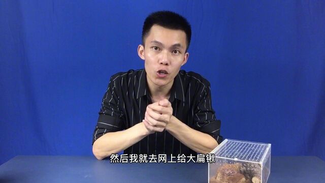 刚买的母锹甲,却被偷梁换柱,到底发生了什么呢