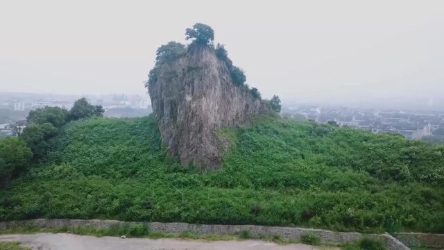 路桥区矿山复绿成效展示