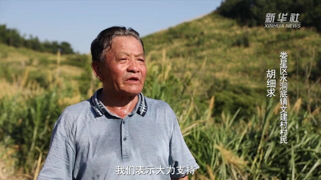 【新华社】湖南娄底多措并举推进恢复耕地工作