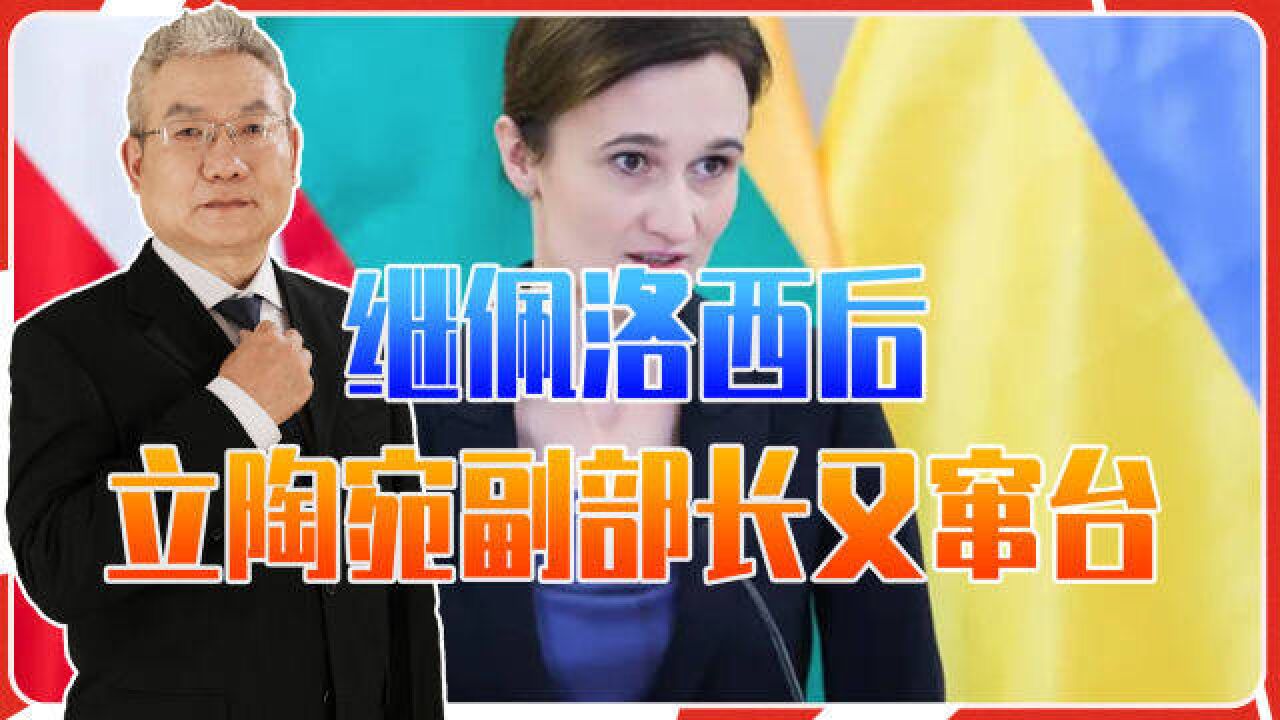 继佩洛西后,立陶宛副部长又窜台,会掀起台海风暴吗?大陆咋反制