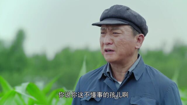 兰桐花开:小伙忍无可忍,当即怒斥对方长辈,提亲草草了事伦理片