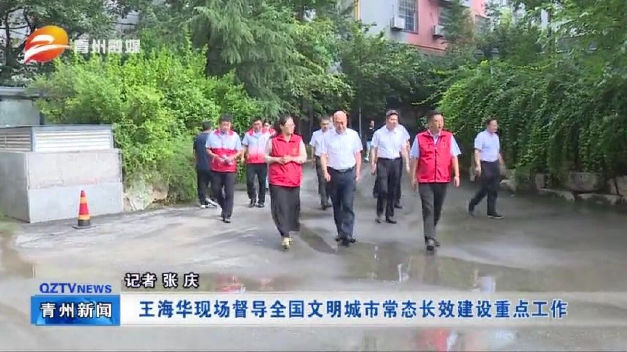 王海华现场督导全国文明城市常态长效建设重点工作