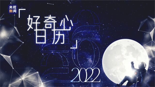 关于2022,这些奇妙的问题有答案了