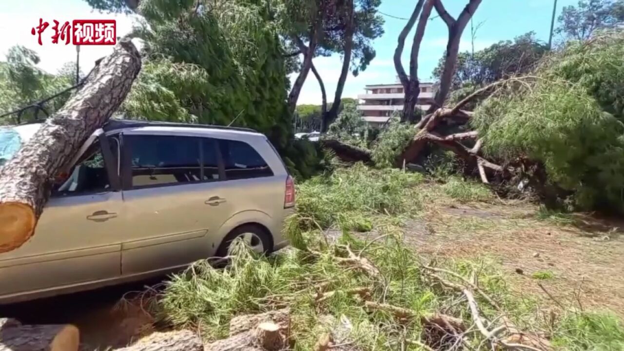 意大利托斯卡纳大区遭强风袭击已致2人死亡