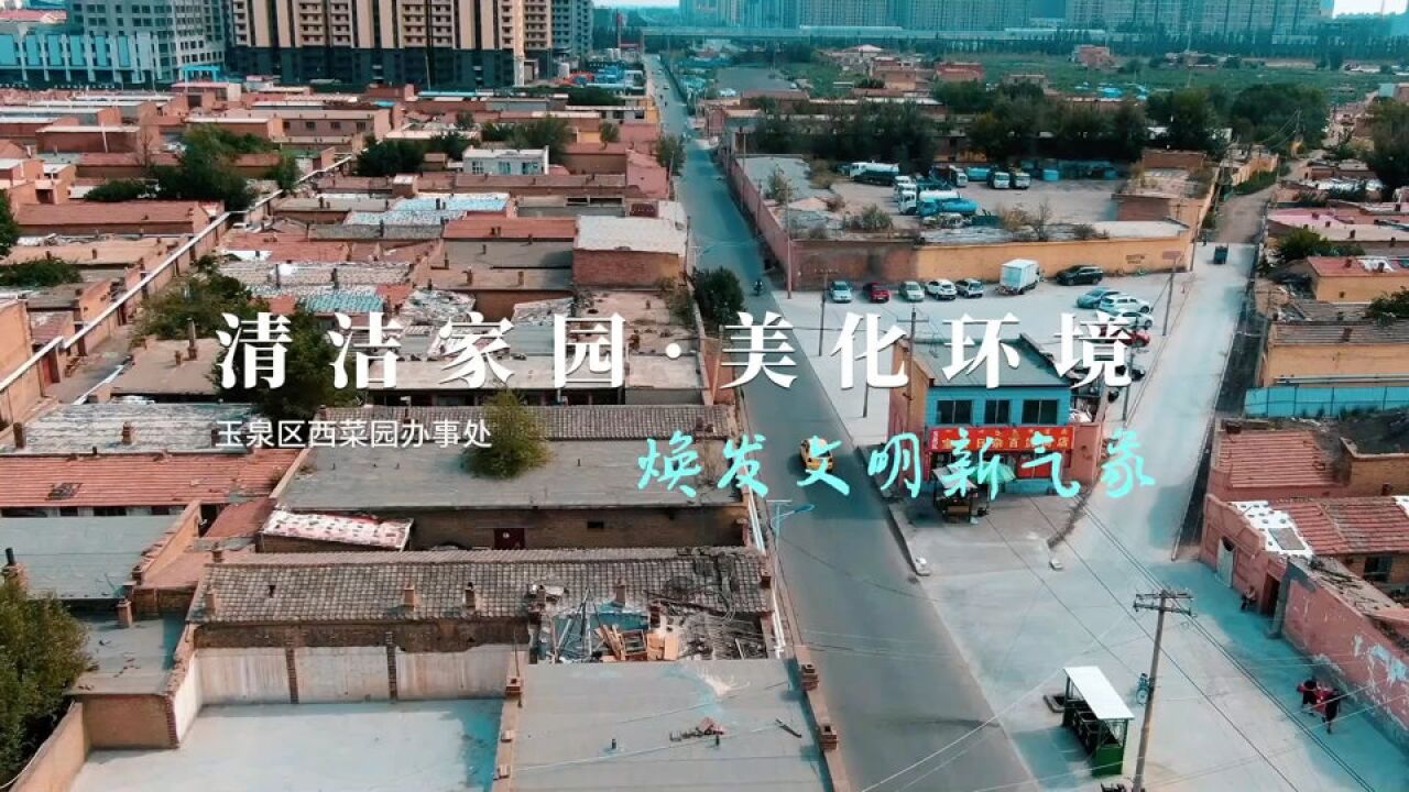 呼和浩特市玉泉区西菜园街道办事处:清洁家园美化环境,焕发文明新气象