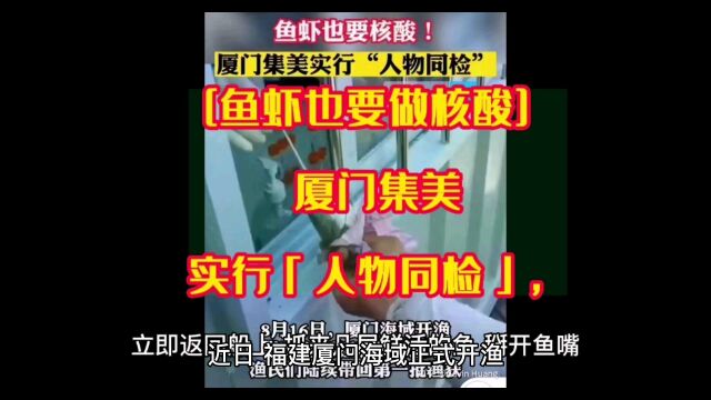 [鱼虾也要做核酸] 厦门集美实行「人物同检