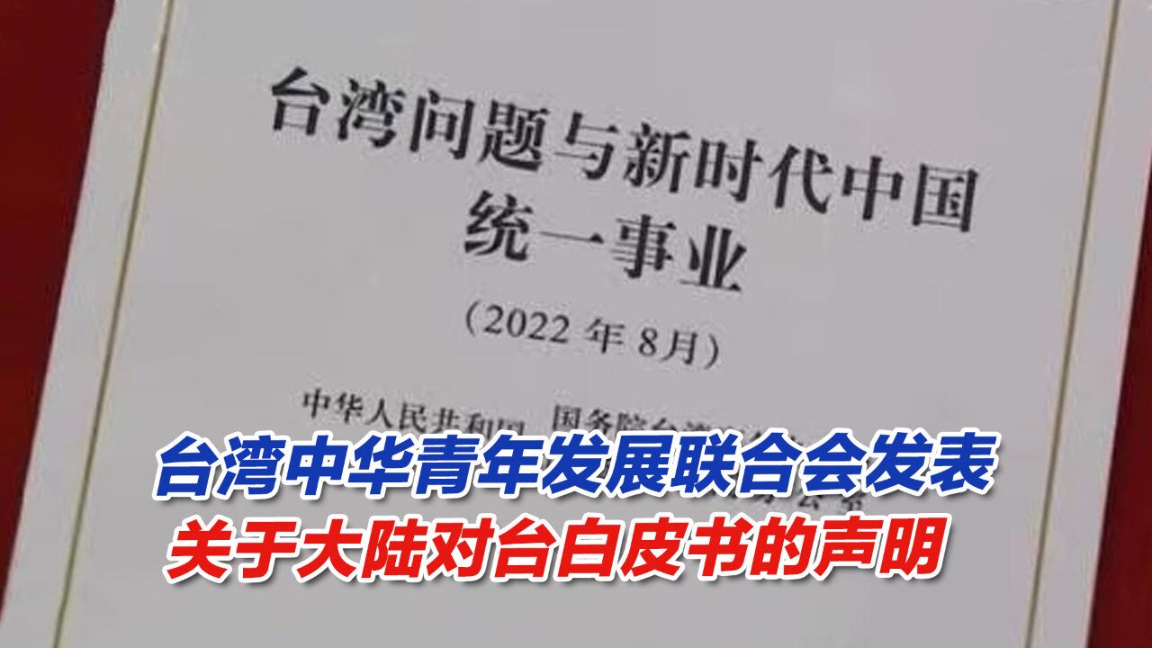 台湾中华青年发展联合会发表关于大陆对台白皮书的声明