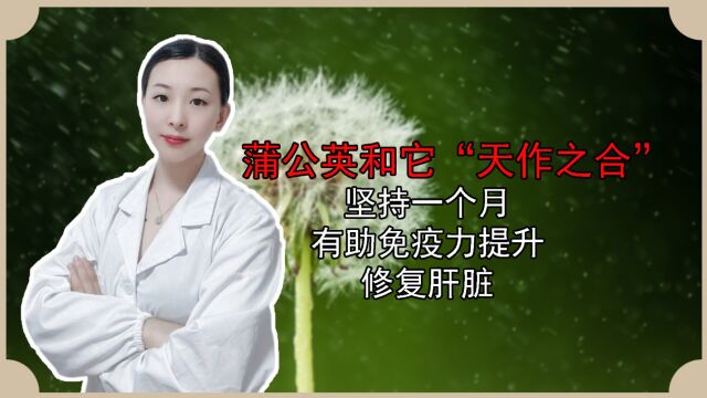 蒲公英和它“天作之合”,坚持一个月,有助免疫力提升,修复肝脏