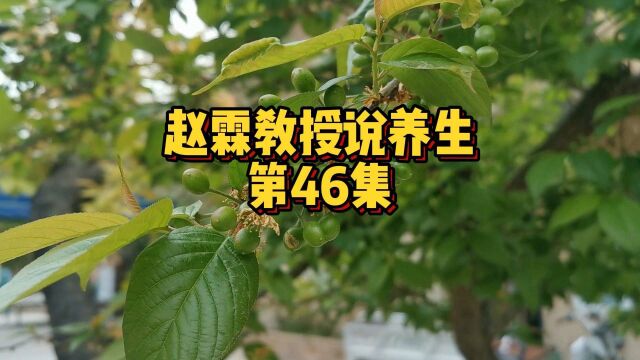 第46集 揭秘阳光对人健康的影响!阳光对身体的作用有哪些?