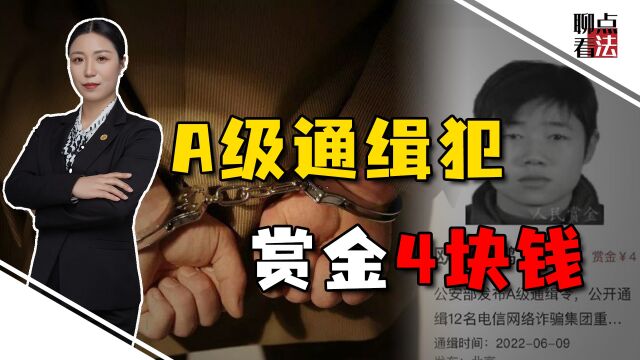 A级通缉犯赏金只有4块钱,这个民间平台,涉嫌的法律风险可不少