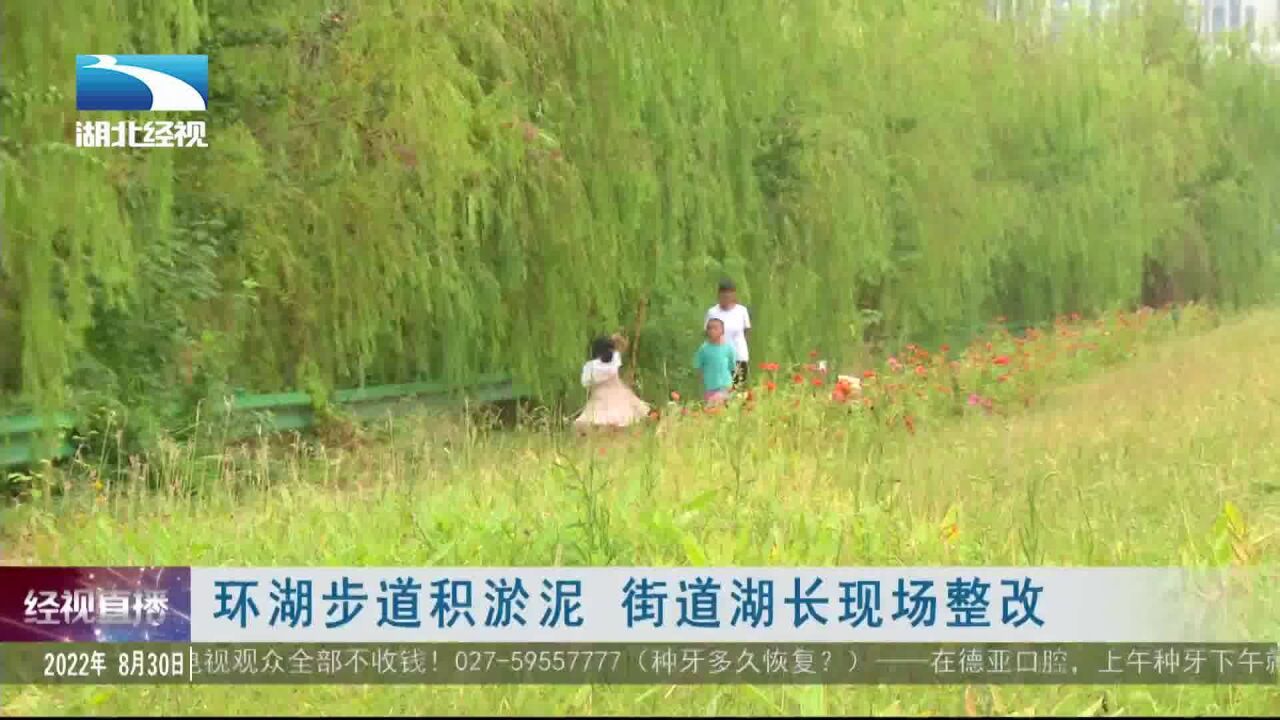 环湖步道积淤泥 街道湖长现场整改