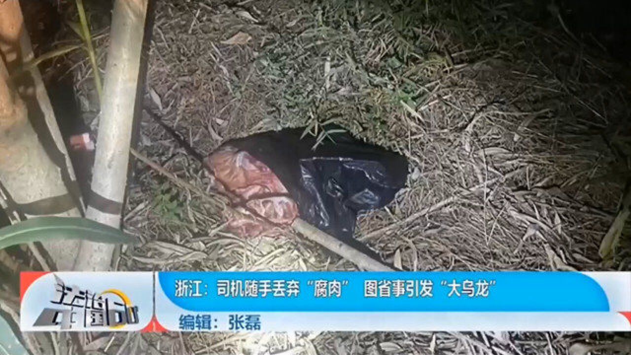 司机随手丢弃“腐肉”,图省事引发“大乌龙”