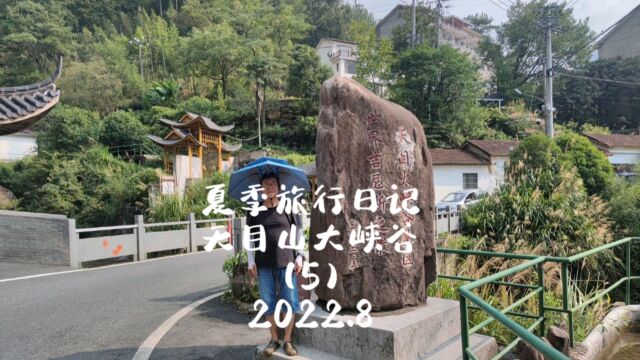 夏季旅行日记:杭州天目山大峡谷(5)2022.8