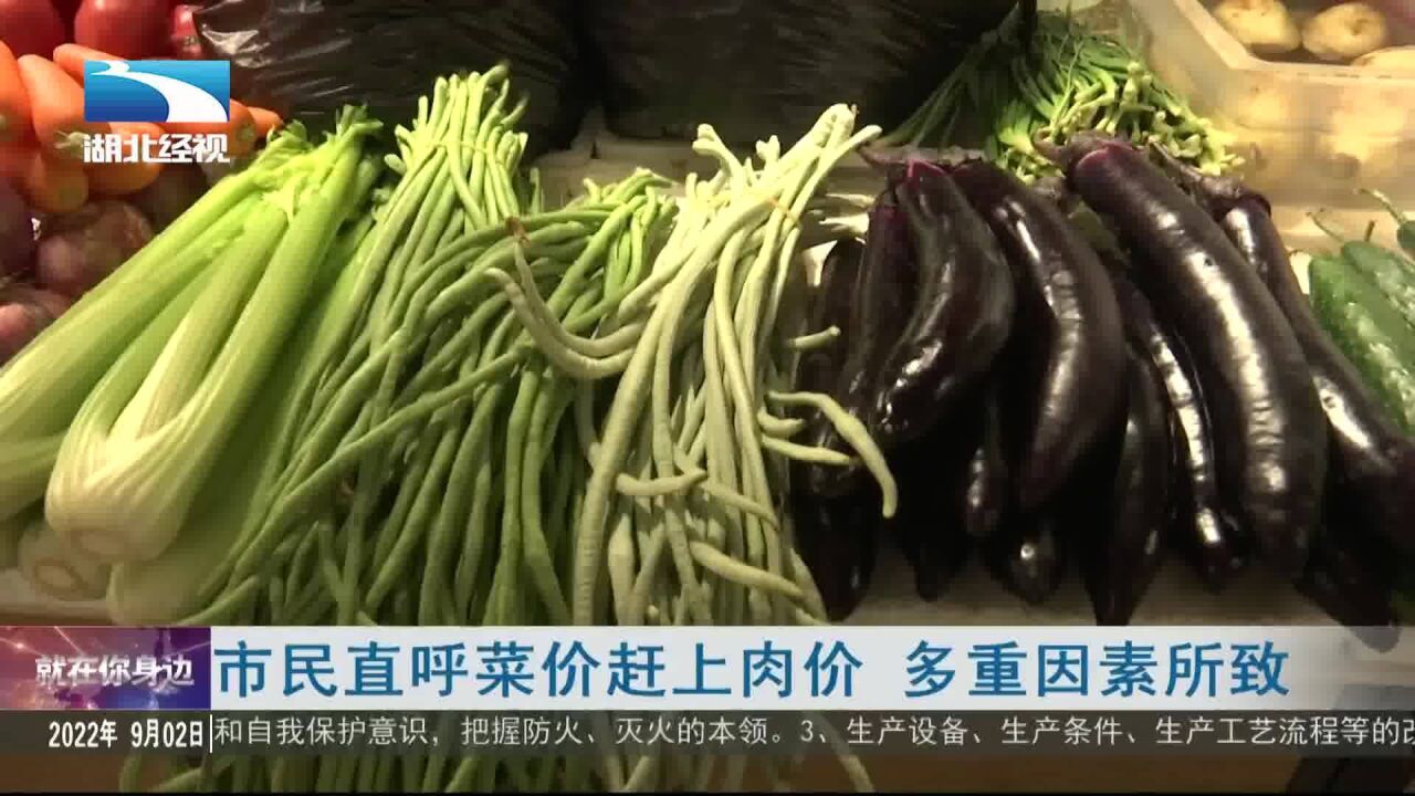 市民直呼菜价赶上肉价 多重因素所致