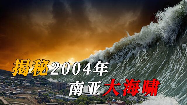 印度洋9.3级地震,威力堪比3万颗原子弹,引发大海啸致29万人死亡