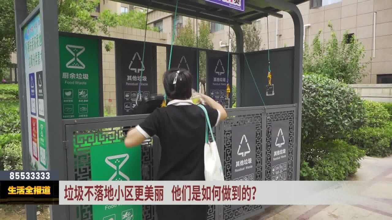 垃圾不落地小区更美丽 他们是如何做到的?