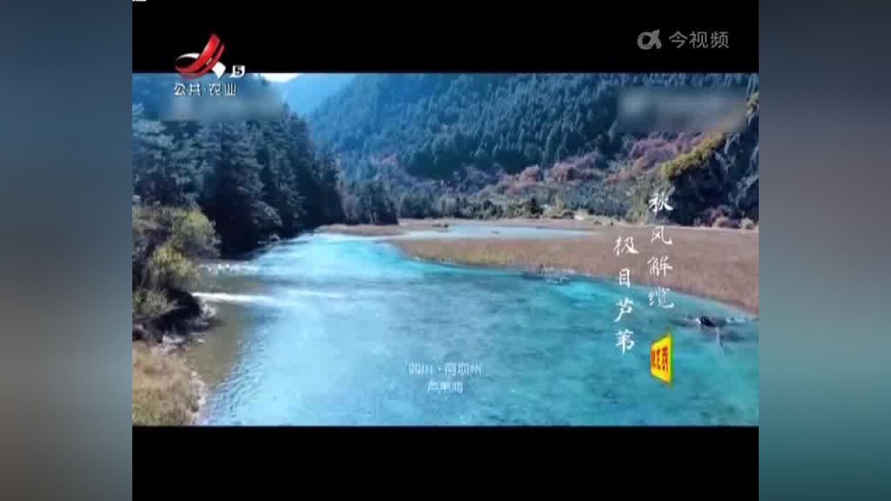 古诗里的“秋水长天”原来这么美