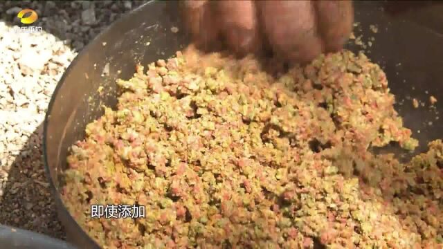 秋钓水库善用麸类饵料,秒上大鱼《垂钓学院》