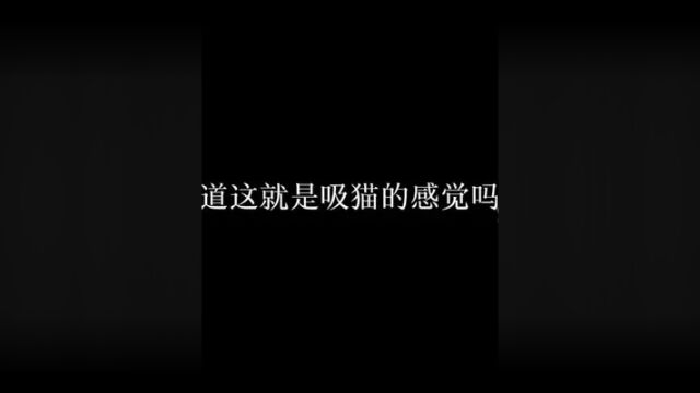 原来这就是吸猫的感觉啊#禁止犯规 #广播剧 #赵毅 #羊仔