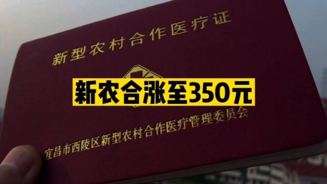 河南2023年新农合涨至350元,20年上涨35倍,为什么不停涨?