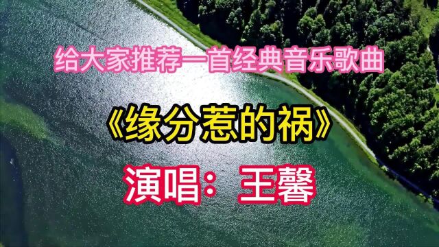 给大家推荐一首经典音乐歌曲《缘分惹的祸》演唱:王馨请您欣赏