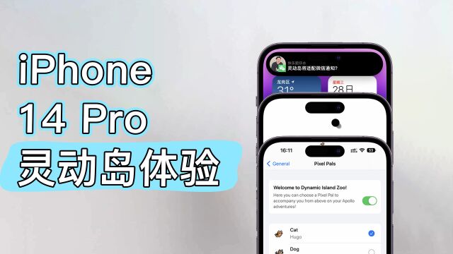 iPhone14 Pro灵动岛体验,将支持微信通知?