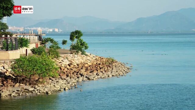 国庆节走读深圳② | 在深圳湾遇见秋天的童话