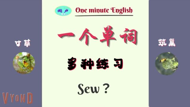 一个单词,多种练习 Sew? | 一分钟英语 | 英语学习 | Learn English | 英语口语| Daily English Conversation