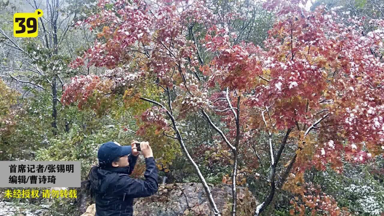 庄河北部突降小雪