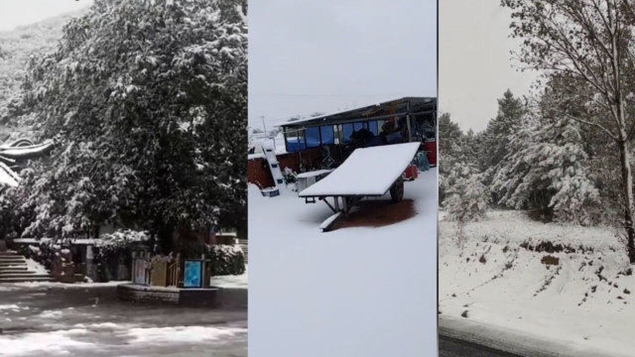 实拍辽宁多地大雪纷飞 气温骤降 积雪没过脚踝 菜地被白雪覆盖