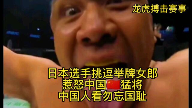 龙虎搏击赛事